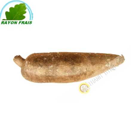 Manioc (kg)