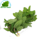 Menthe (pièce)- FRAIS