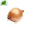 Cebolla blanca Francia 500g - FRESCO -