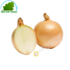 White onion (kg)