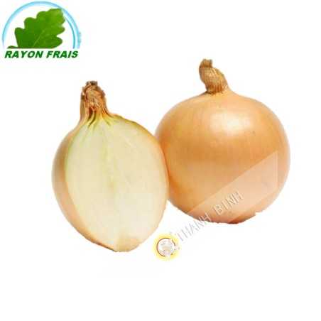 Cipolla bianca Francia 500g - FRESCA -