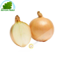 Oignon blanc France 500g - FRAIS -