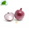 Red onion Italy (room)- COST - Approx. 250g