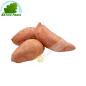 Patata dolce AFS (kg)- COSTO
