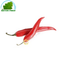 Chili long Marokko 200g - TARIF