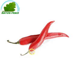 Piment long Maroc 200g- FRAIS
