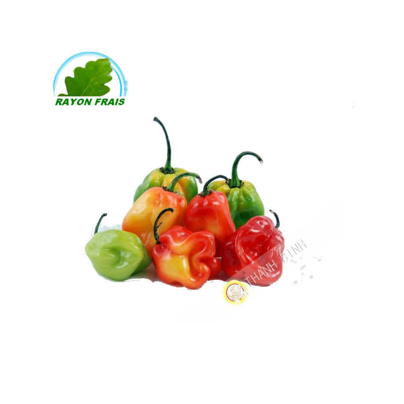 Chili, den antillen, Martinique 100g - TARIF