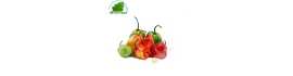 Piment antillais Martinique 100g- FRAIS