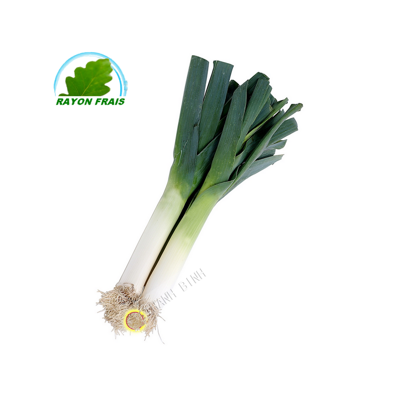 Porro Francia (camera)- COSTO - Ca. 200g