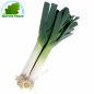Porro Francia (camera)- COSTO - Ca. 200g
