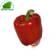 Red bell pepper, Spain (room)- COST - Approx. 350g