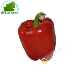 Red bell pepper, Spain (room)- COST - Approx. 350g