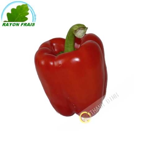 Rote paprika (kg)