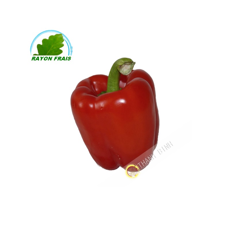 Pimiento rojo (kg)