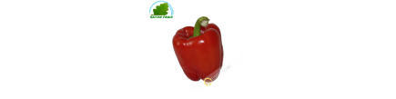 Red bell pepper, Spain (room)- COST - Approx. 350g
