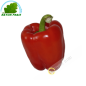 Red bell pepper, Spain (room)- COST - Approx. 350g