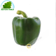 Grüne paprika (kg)