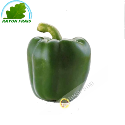 Green pepper (kg)