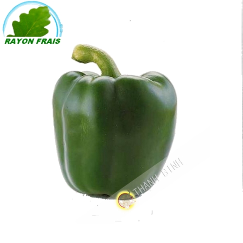 Paprika grün Spanien (stück)- KOSTEN - Ca. 350g
