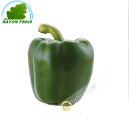 Poivron vert Espagne (pièce)- FRAIS - Env. 250g