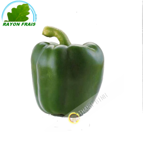 Green pepper (kg)