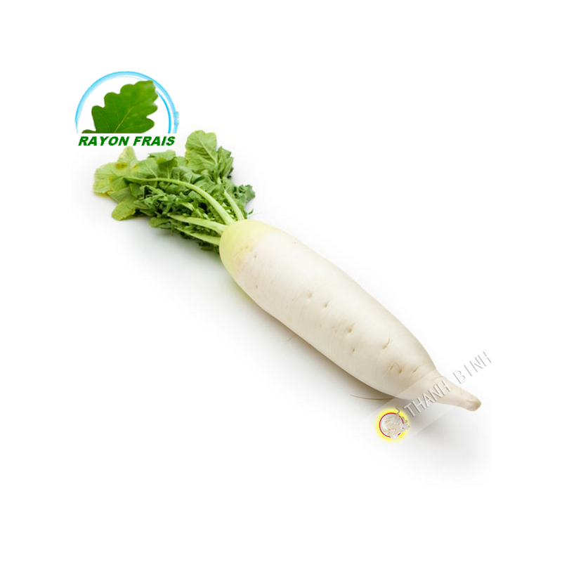 White radish (piece)