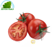 Tomate ronde Maroc (kg)- FRAIS