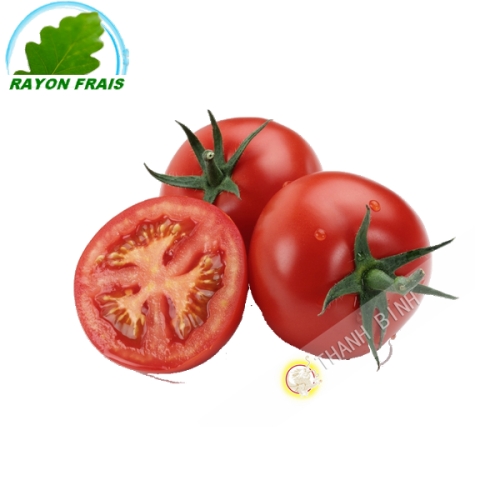 Cà chua tròn Ma-rốc (kg)- FRAIS
