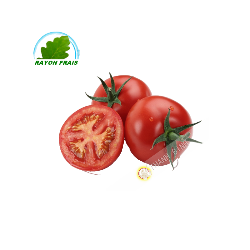 Tomate ronde Maroc (kg)- FRAIS