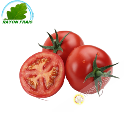 Tomate ronde Maroc (kg)- FRAIS