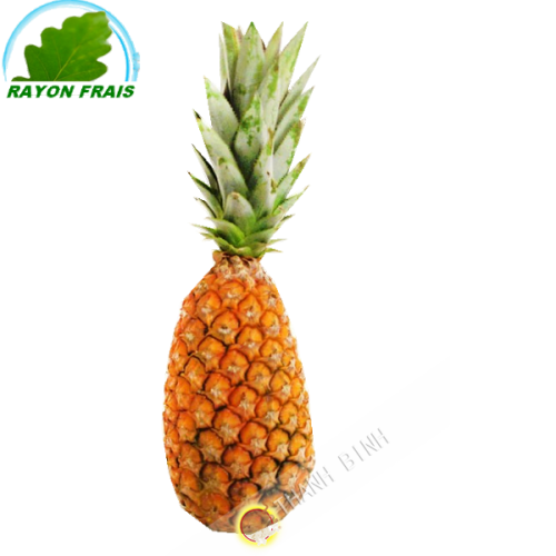 Ananas Benin (kg)