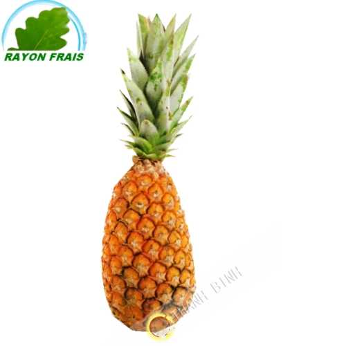 Ananas Benin (kg)