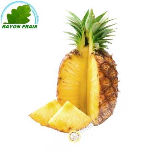 Ananas Sweet Côte d ' Ivoire (stück)- KOSTEN