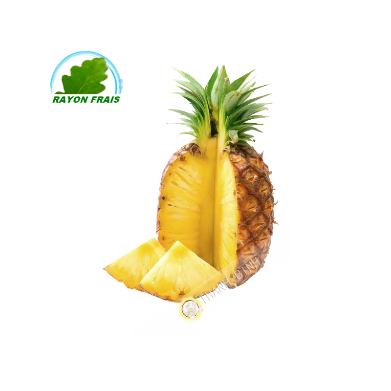 Piña Cariño Costa de Marfil (parte)- COSTOS de