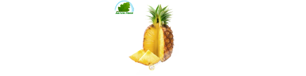 Pineapple Sweetie Ivory Coast (part)- COSTS