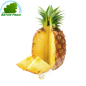 Ananas Dolce metà Costa d Avorio (parte)- COSTI