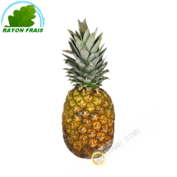Ananas Sweetie  Côte d'Ivoire (pièce)- FRAIS