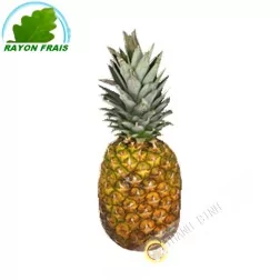 Pineapple Sweetie Ivory Coast (part)- COSTS