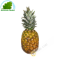 Ananas Dolce metà Costa d Avorio (parte)- COSTI