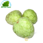 Anones Spagna (camera)- COSTO - Ca. 450g