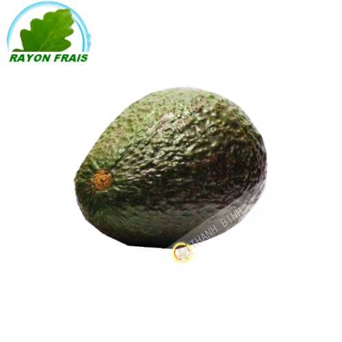 Avocat PM Espagne (pièce)- FRAIS