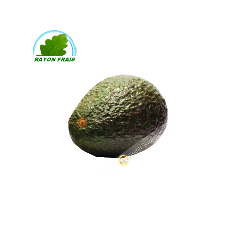 Avocat (pièce)