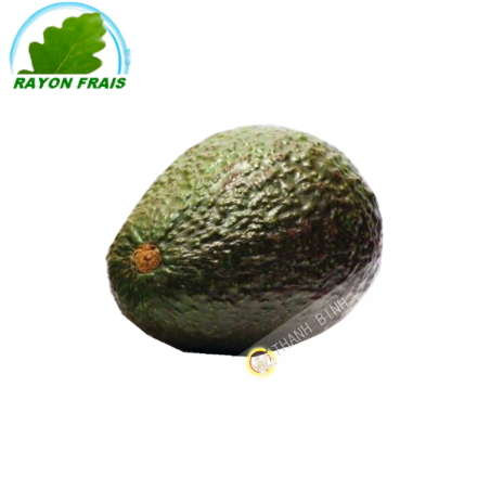 Avocat (pièce)