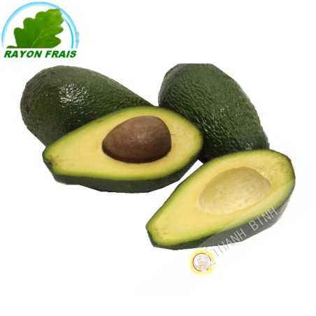 Lawyer, MP to Spain (piece)- FRESH