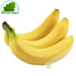 Bananen Martinique (stück)- KOSTEN - Ca. 200g