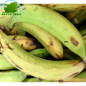 Banane Plantain Colombie(kg)- FRAIS