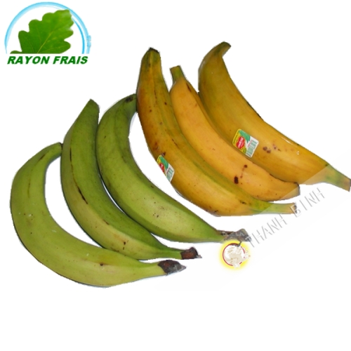 Plátano de Colombia(kg)- COSTOS de
