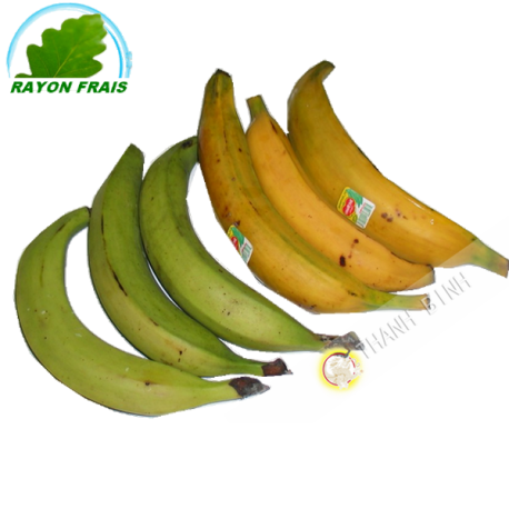 Plátano (kg)
