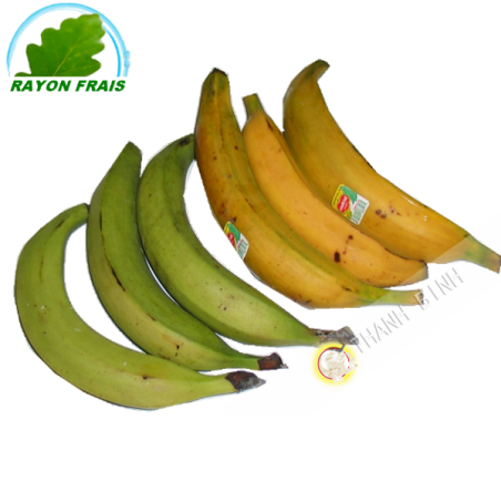 Banane Plantain Colombie(kg)- FRAIS