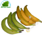 Banane Plantain Colombie(kg)- FRAIS